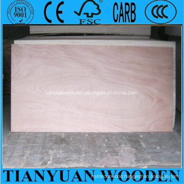 Bintangor/Okoume/Red Pencil Ceder Commercial Plywood for Furniture or Decoration